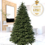 8ft Noble Fir - Premium Grade Live Christmas Trees from USA (Includes Loan of Tree Stand)