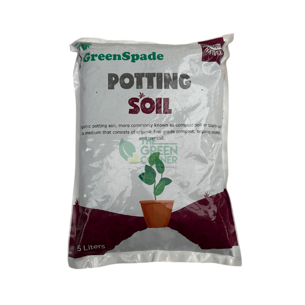 A variety of healthy potted houseplants in Singapore soil using peat moss, cocopeat, and compost — displayed at The Green Corner