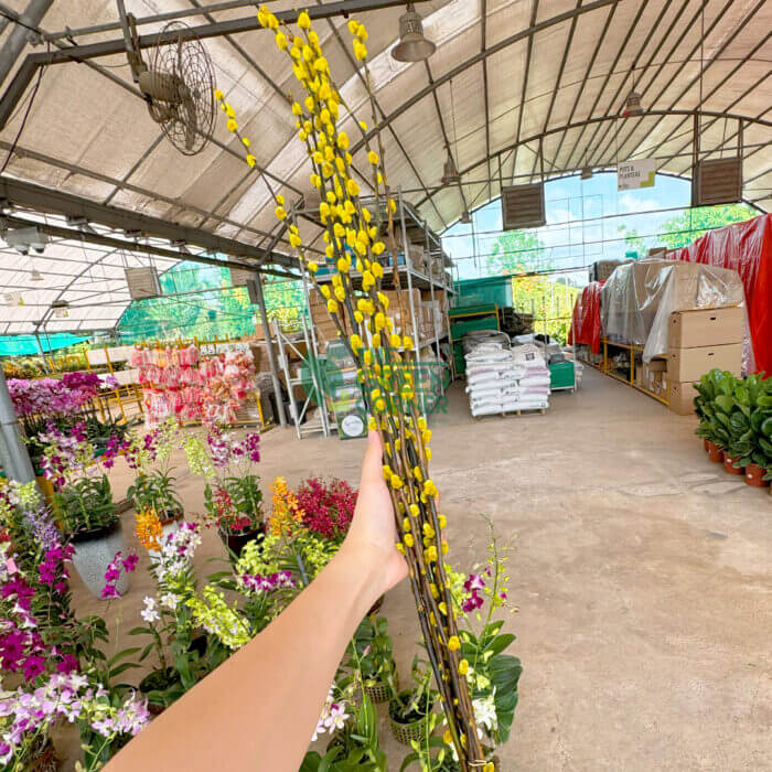 Top Home Trends in 2025