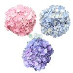 Flowers Bouquet Corporate Gifts - Image 5