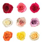 Flowers Bouquet Corporate Gifts - Image 2