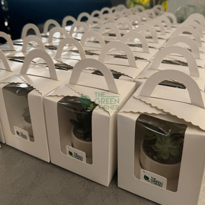 Succulents Corporate Gifts - Image 2