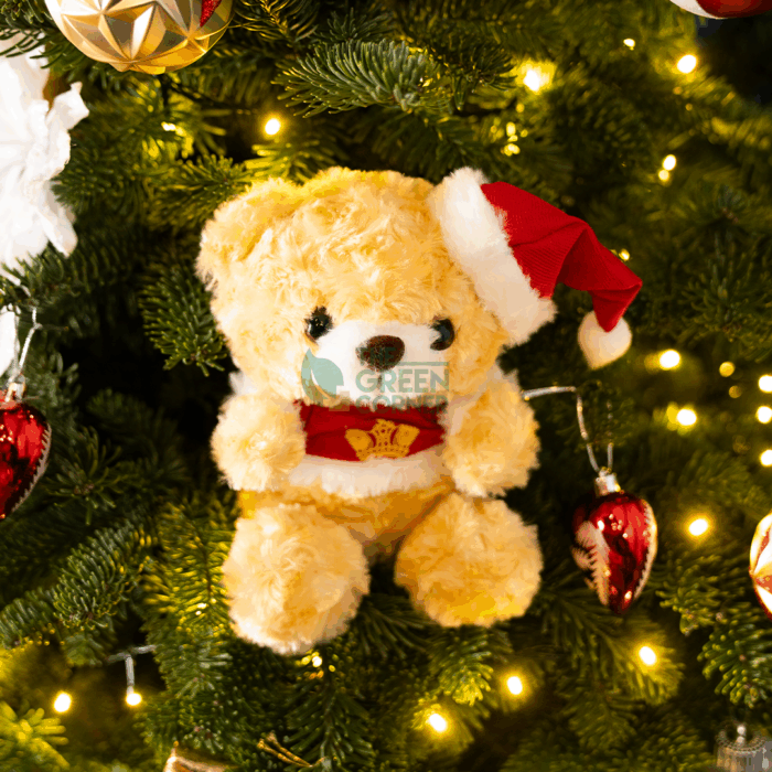 Prince X APSN Teddy Bear - Image 1