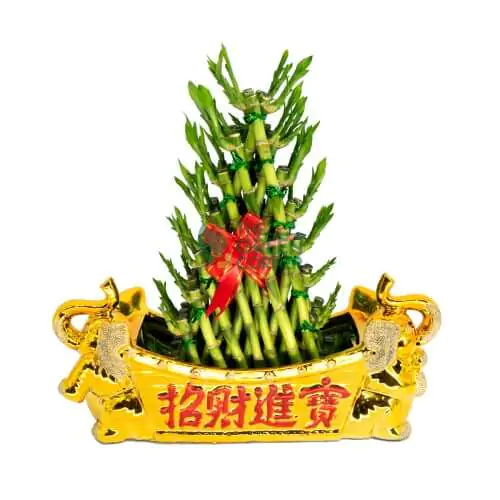 Fortune Bamboo in Golden Animal Vase