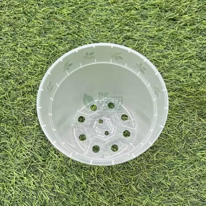 Transparent Pot (120mm) OCTO